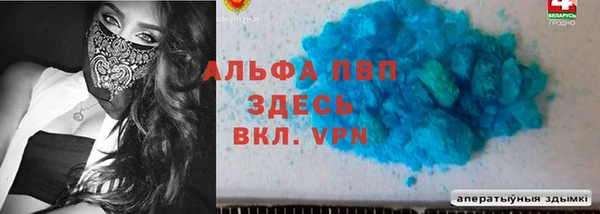 мдпв Бородино
