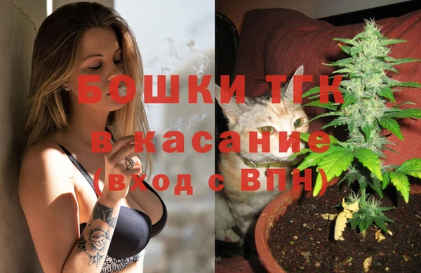 бошки Бронницы
