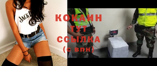 бошки Бронницы
