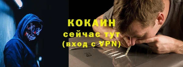 мдпв Бородино