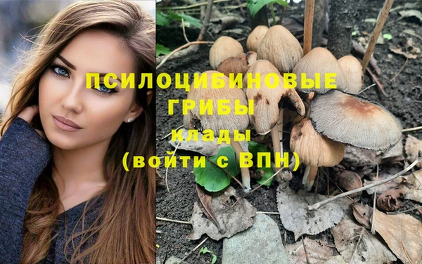 мдпв Бородино