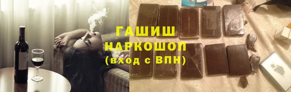 мдпв Бородино