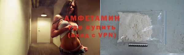 мдпв Бородино