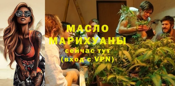 мдпв Бородино