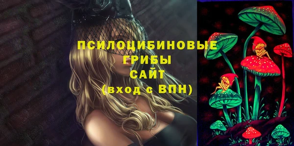 бошки Бронницы