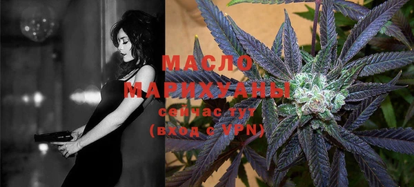 мдпв Бородино