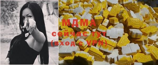 мдпв Бородино