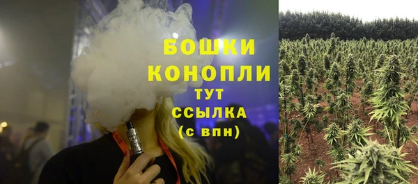 бошки Бронницы