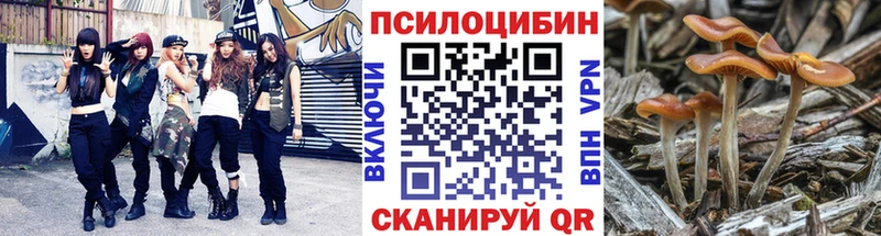 Галлюциногенные грибы Psilocybine cubensis  Мыски 