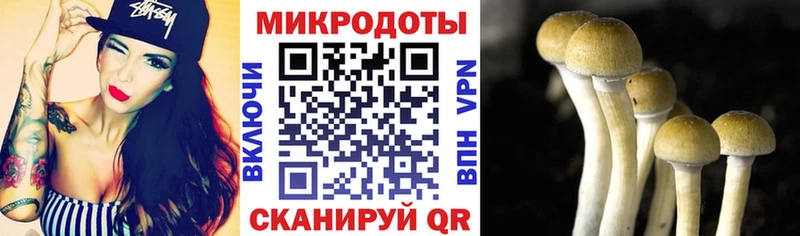 Галлюциногенные грибы GOLDEN TEACHER Мыски